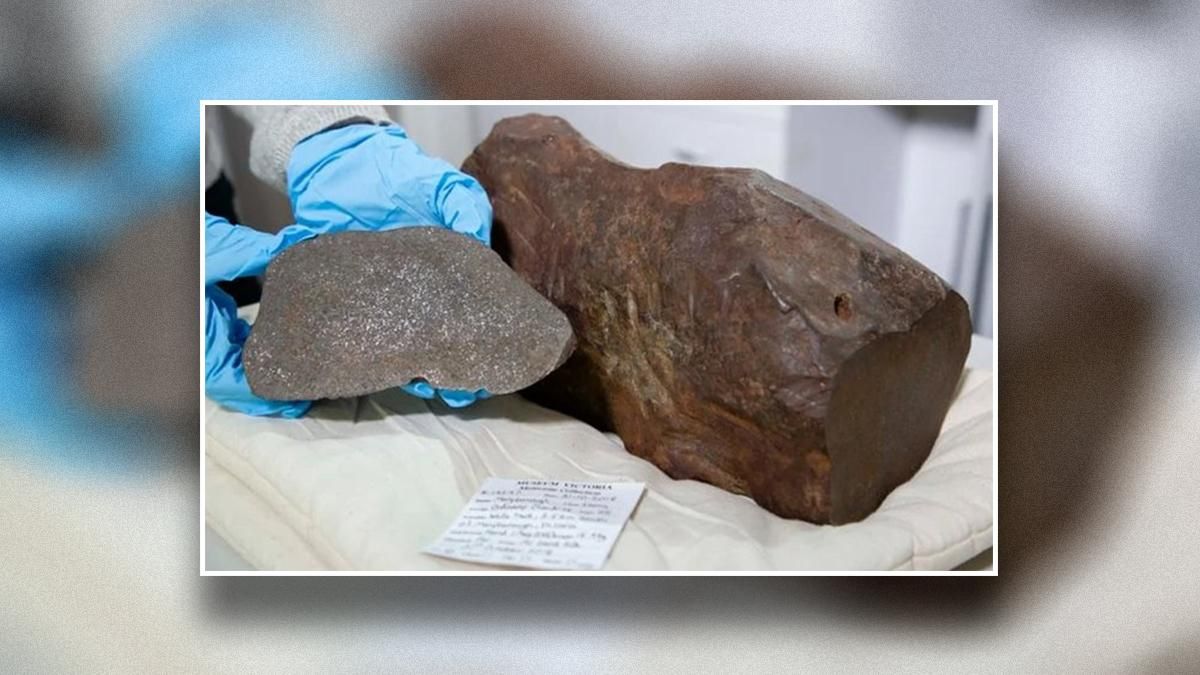 Гігантський "шмат золота" виявився метеоритом, віком у 4,5 мільярда років - Новини технологій - Техно