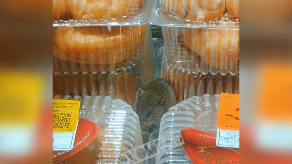 В Одесі помітили мишу поміж пиріжками в супермаркеті: обурливі фото - Новини Одеса - Одеса В Одесі помітили мишу поміж пиріжками в супермаркеті: обурливі фото - Новини Одеса - Одеса