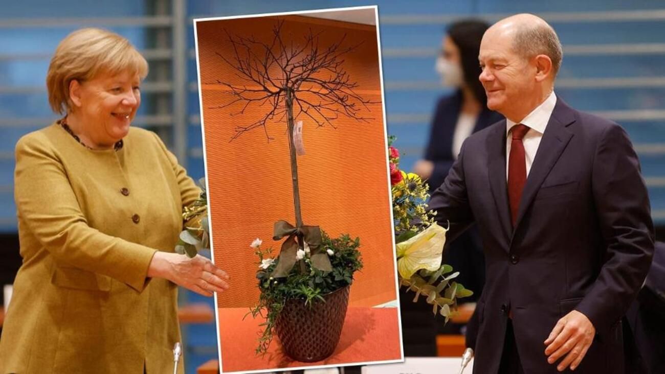 Меркель отримала на прощання дивний подарунок – кизиловий кущ: що він означає - 24 Канал Меркель отримала на прощання дивний подарунок – кизиловий кущ: що він означає - 24 Канал