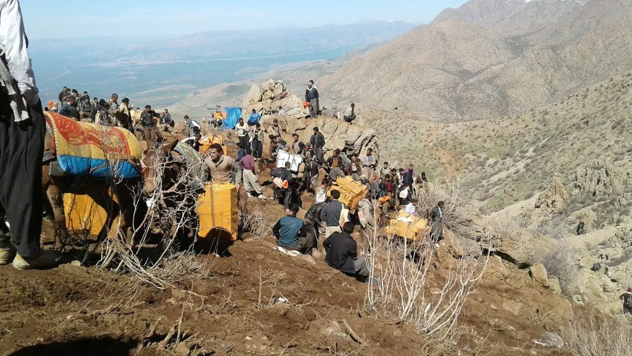 курди контрабанда курди контрабанда