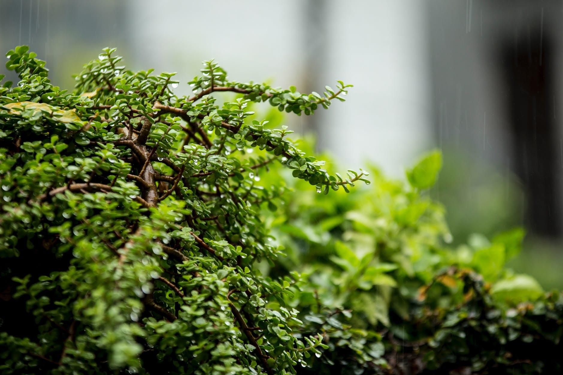 Екорейдерство відлякує інвесторів та становить загрозу для економіки України, – експерти Екорейдерство відлякує інвесторів та становить загрозу для економіки України, – експерти