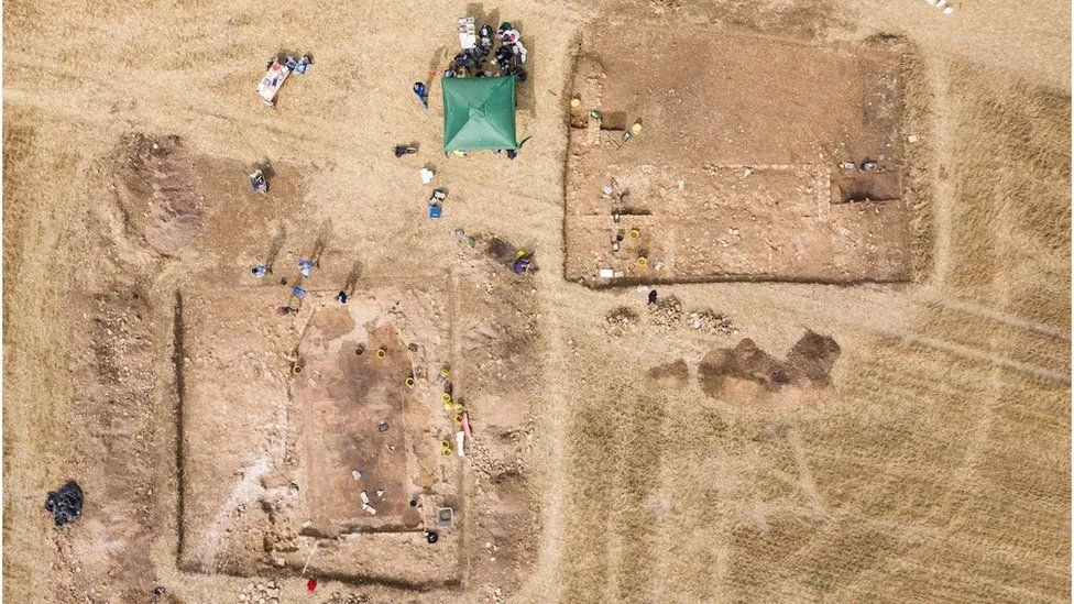 Фермери знайшли на власному полі давньоримську мозаїку зі сценою з