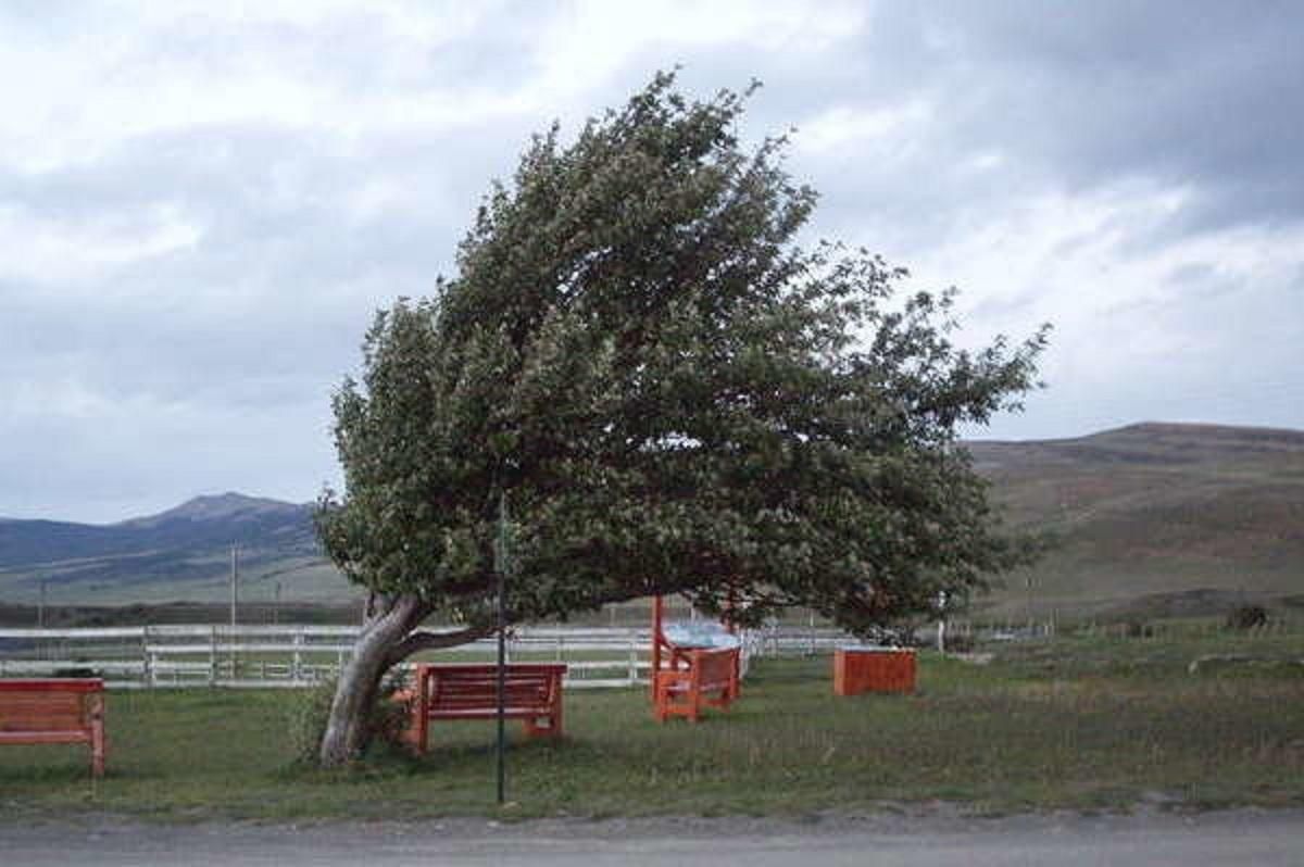 В Україні оголосили штормове попередження у найближчу годину: в яких регіонах - 24 Канал В Україні оголосили штормове попередження у найближчу годину: в яких регіонах - 24 Канал