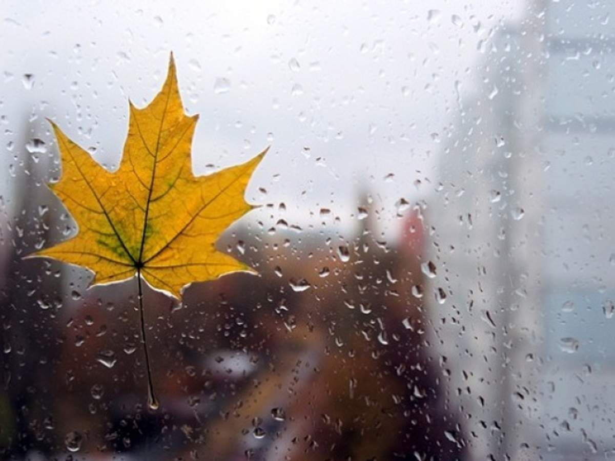 Погода на 28 листопада 2021 в Україні: що прогнозують синоптики Погода на 28 листопада 2021 в Україні: що прогнозують синоптики