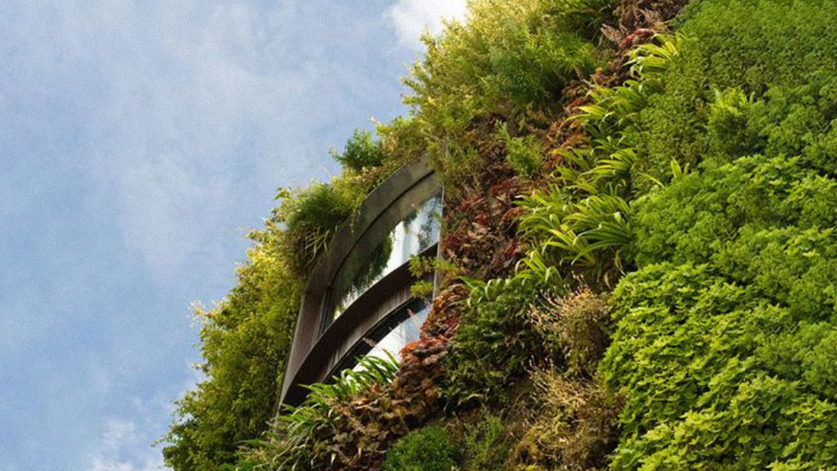 Дослідження "живих стін" вразили результатами: користь здоров'ю та економія - Новини технологій - Техно Дослідження "живих стін" вразили результатами: користь здоров'ю та економія - Новини технологій - Техно