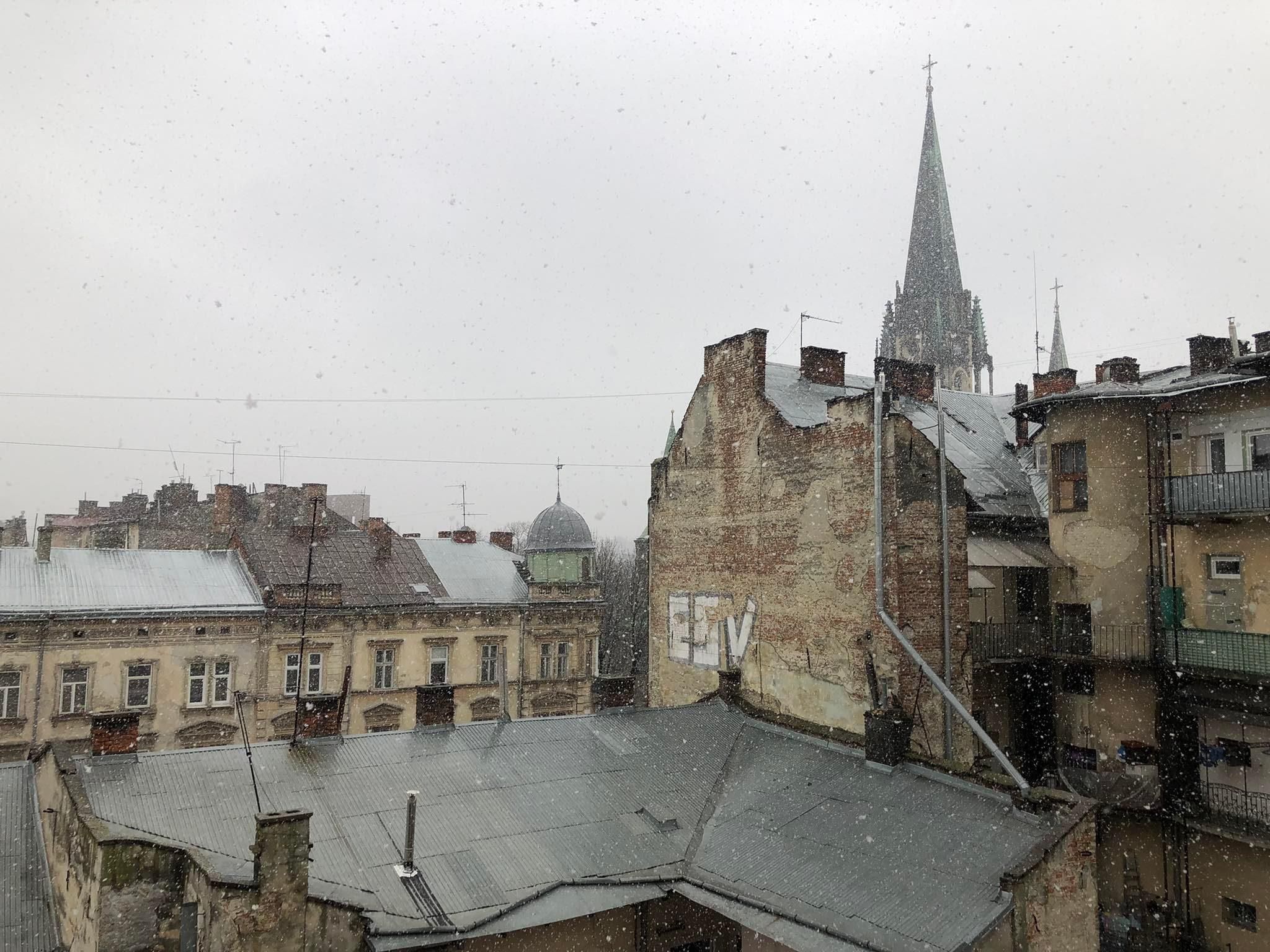 У Львові знову сніжить: казкове відео - Львів У Львові знову сніжить: казкове відео - Львів