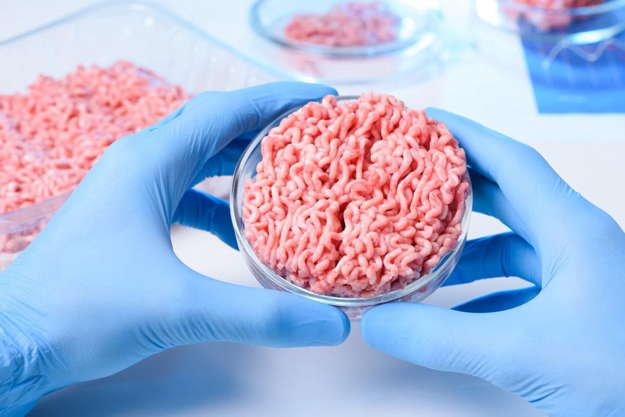 Культивоване м'ясо від Tiamat Sciences буде в рази дешевшим від справжнього - Новини технологій - Техно