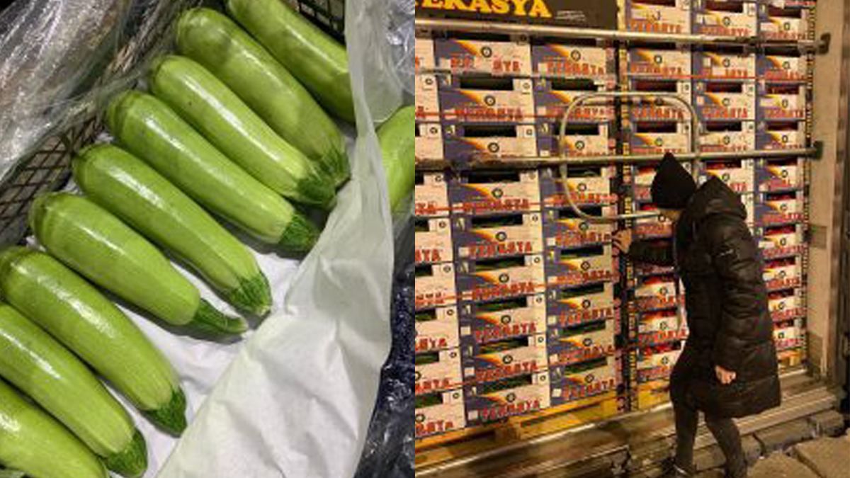 В Україну завезли понад тонну небезпечних кабачків: можуть бути на прилавках - Новини Одеси - Одеса В Україну завезли понад тонну небезпечних кабачків: можуть бути на прилавках - Новини Одеси - Одеса