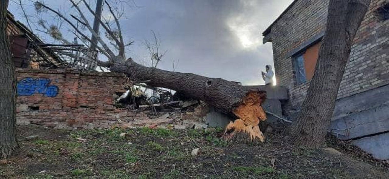 Поваленные деревья, блэкаут и поврежденные дома: по Киеву и области пронесся ураган – фото 