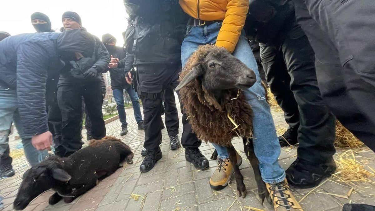 Полицейские наказали "активистов", которые поиздевались над животными под КГГА