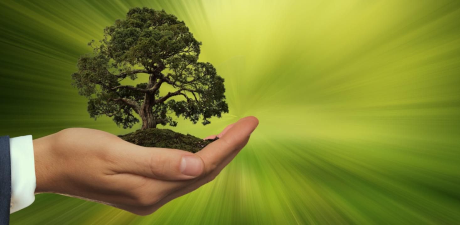 Без ограничения вывоза металлолома Украина никогда не выполнит эконормы Green Deal, – эксперт - 30 ноября 2021 - 24 Канал Без ограничения вывоза металлолома Украина никогда не выполнит эконормы Green Deal, – эксперт - 30 ноября 2021 - 24 Канал