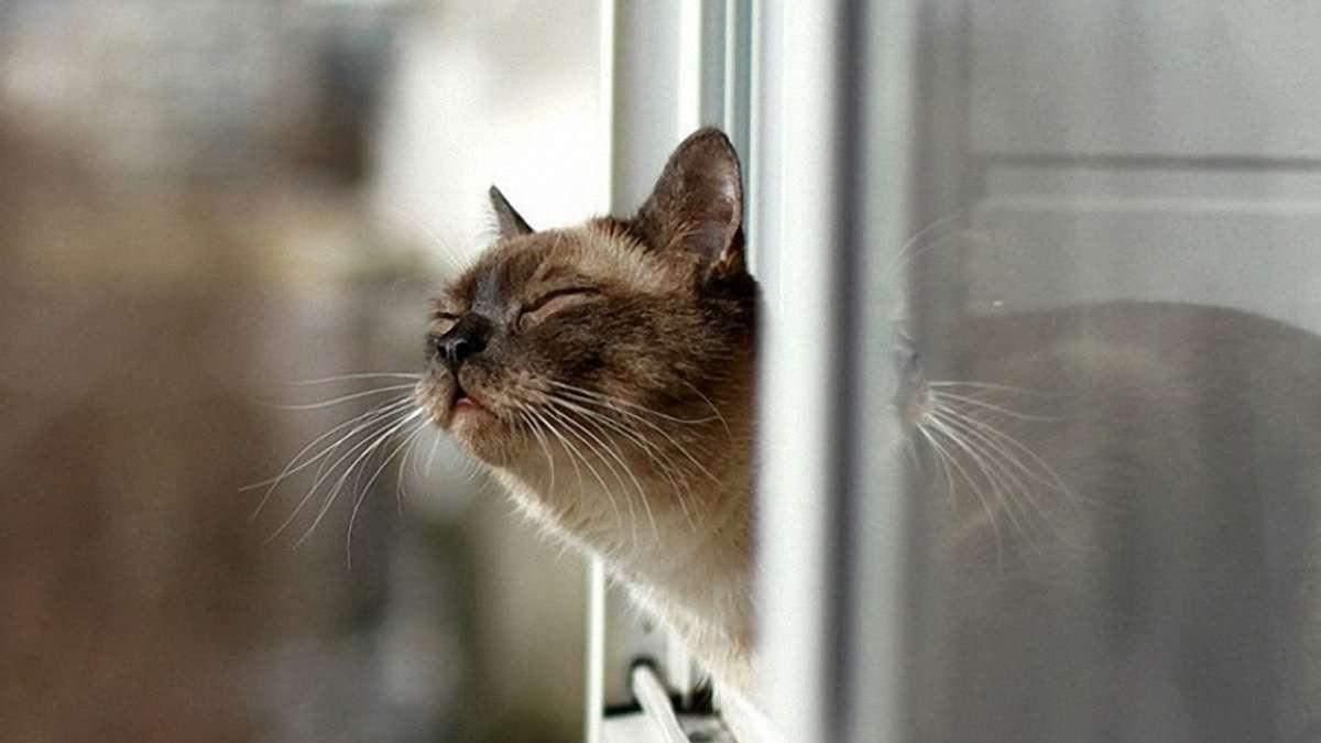 В первые дни зимы в Украину придет потепление, но не надолго В первые дни зимы в Украину придет потепление, но не надолго