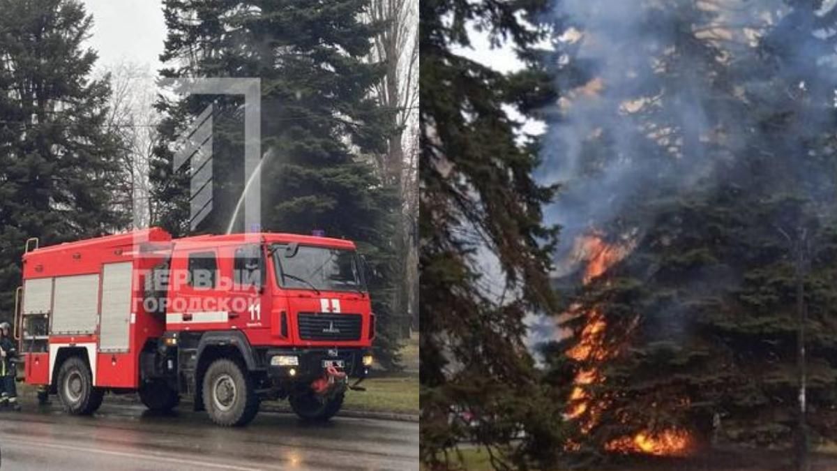 У Кривому Розі спалахнула ялинка під університетом: підозрюють місцеву бабцю - Дніпро