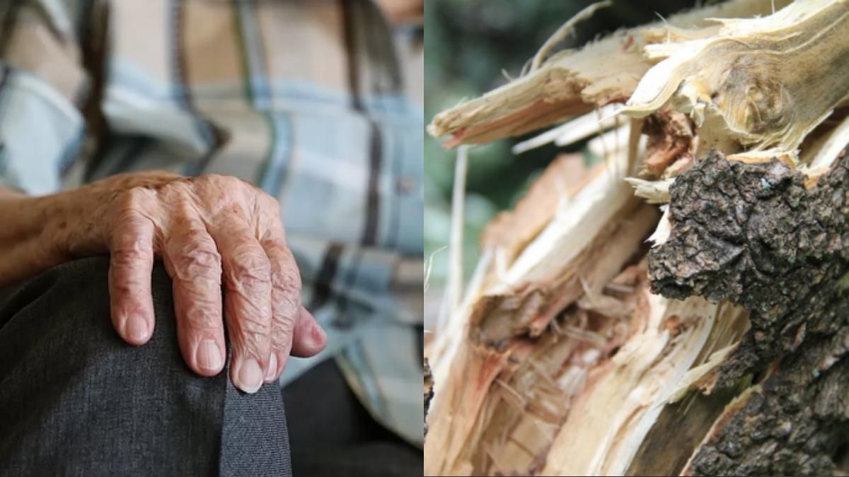 На Харьковщине трагически погибла пенсионерка: вышла из дома в ураган