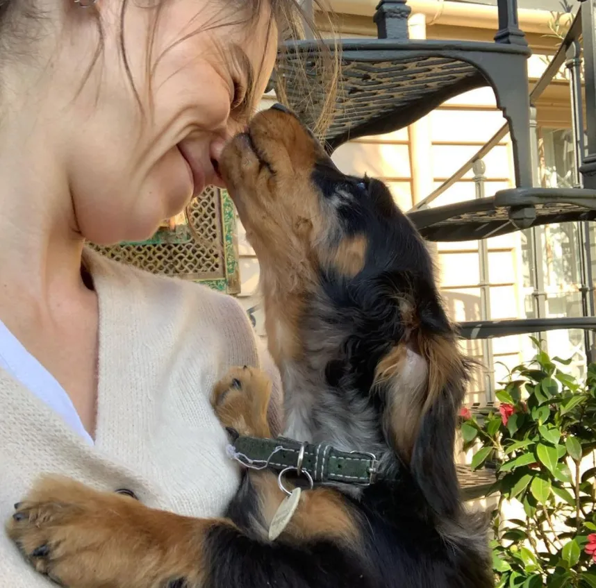 Собака Емілії Кларк Собака Емілії Кларк