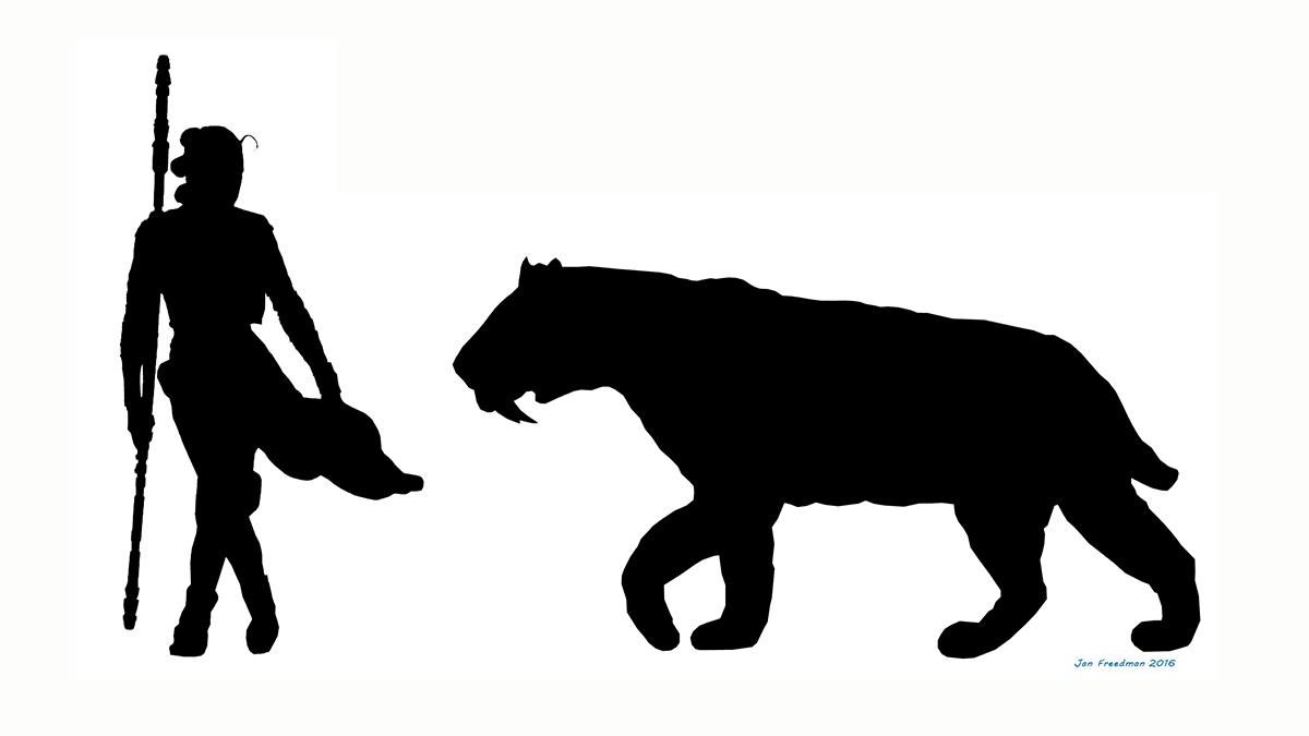 Прятаться у всех на виду: в Вашингтоне случайно открыли новый вид "саблезубого тигра" Прятаться у всех на виду: в Вашингтоне случайно открыли новый вид "саблезубого тигра"