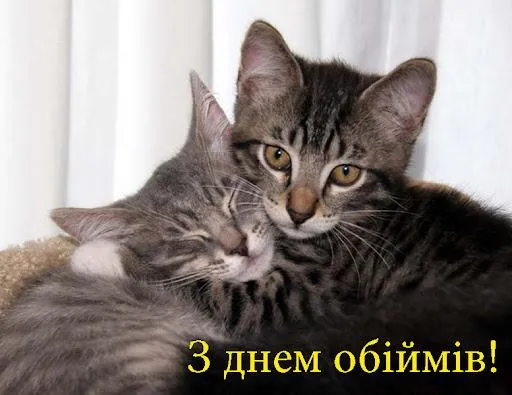 День обійм 2021 картинки привітання День обійм 2021 картинки привітання