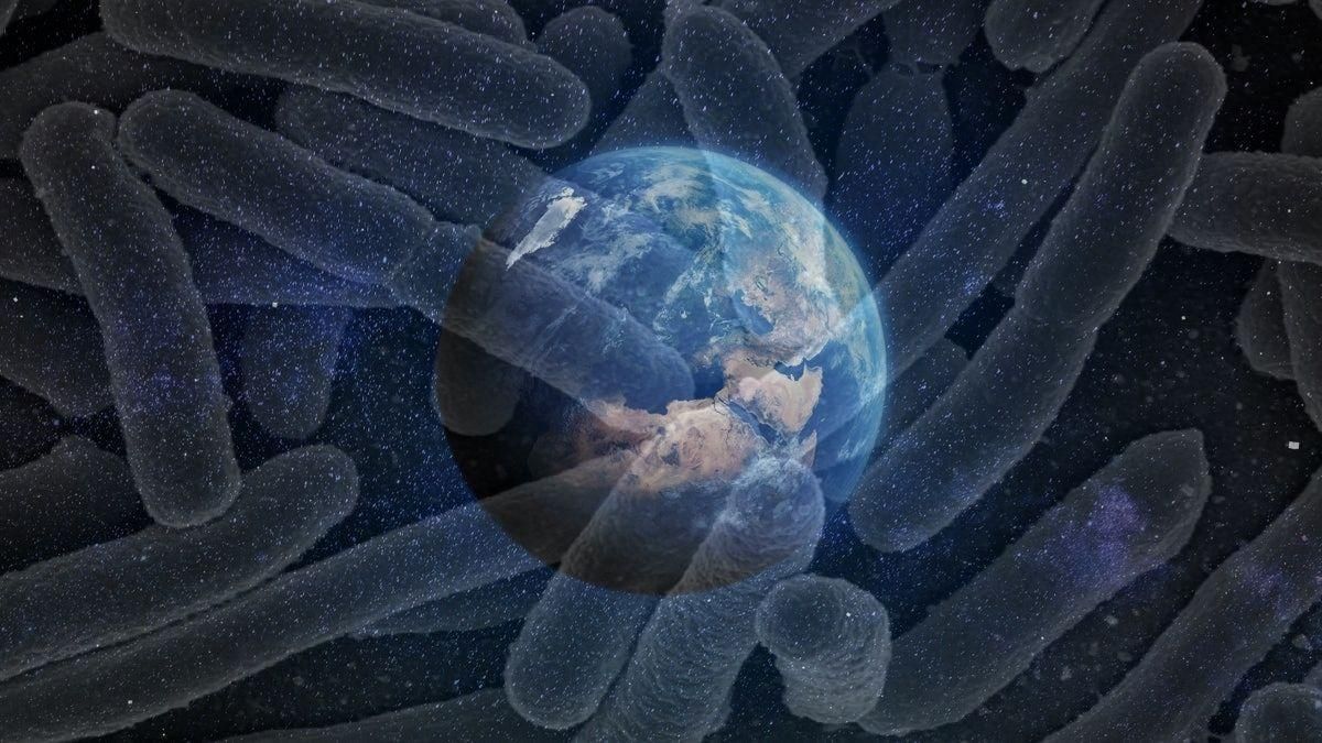 Земле может угрожать заражение инопланетными организмами Земле может угрожать заражение инопланетными организмами