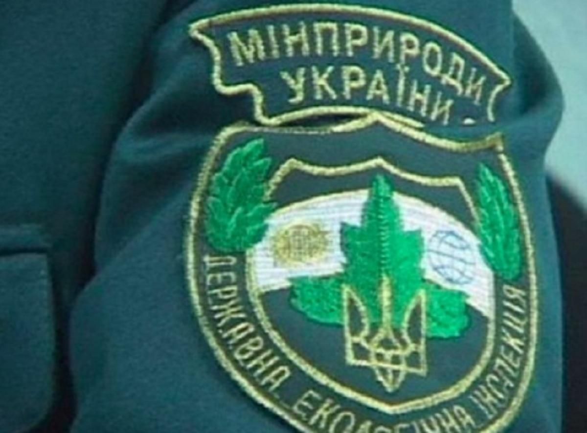 Уряд призначив керівника Держекоінспекції - Україна новини - 24 Канал Уряд призначив керівника Держекоінспекції - Україна новини - 24 Канал