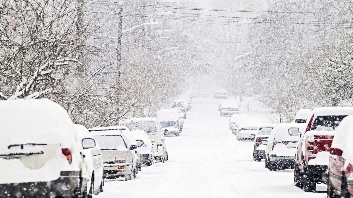Засыпало снегом: на Львовщине и Закарпатье без света остались 90 населенных пунктов