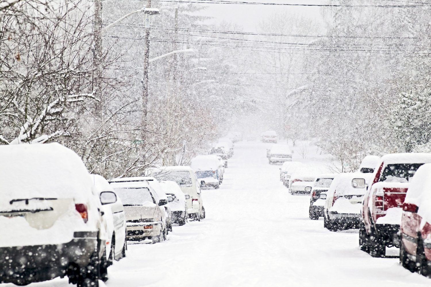 Засыпало снегом: на Львовщине и Закарпатье без света остались 90 населенных пунктов