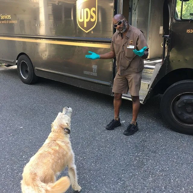 Поштарі дружать із песиками Поштарі дружать із песиками