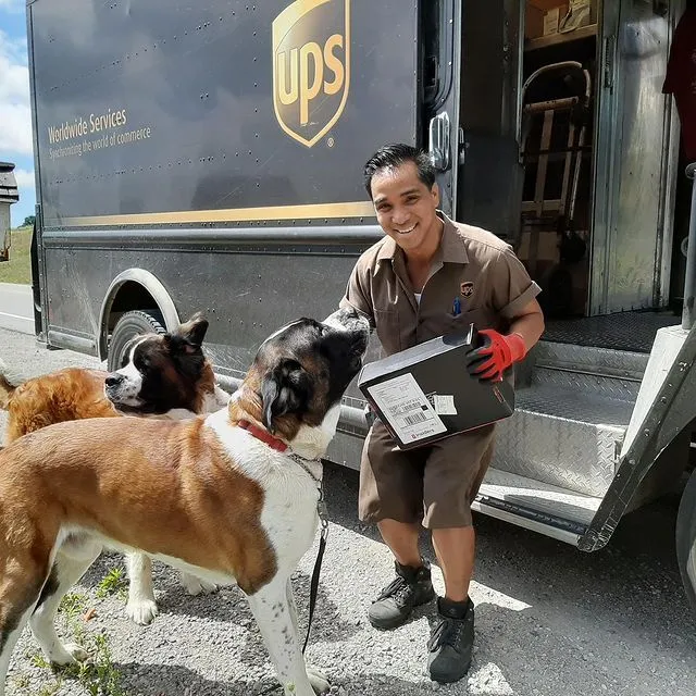 Поштарі дружать із собаками Поштарі дружать із собаками