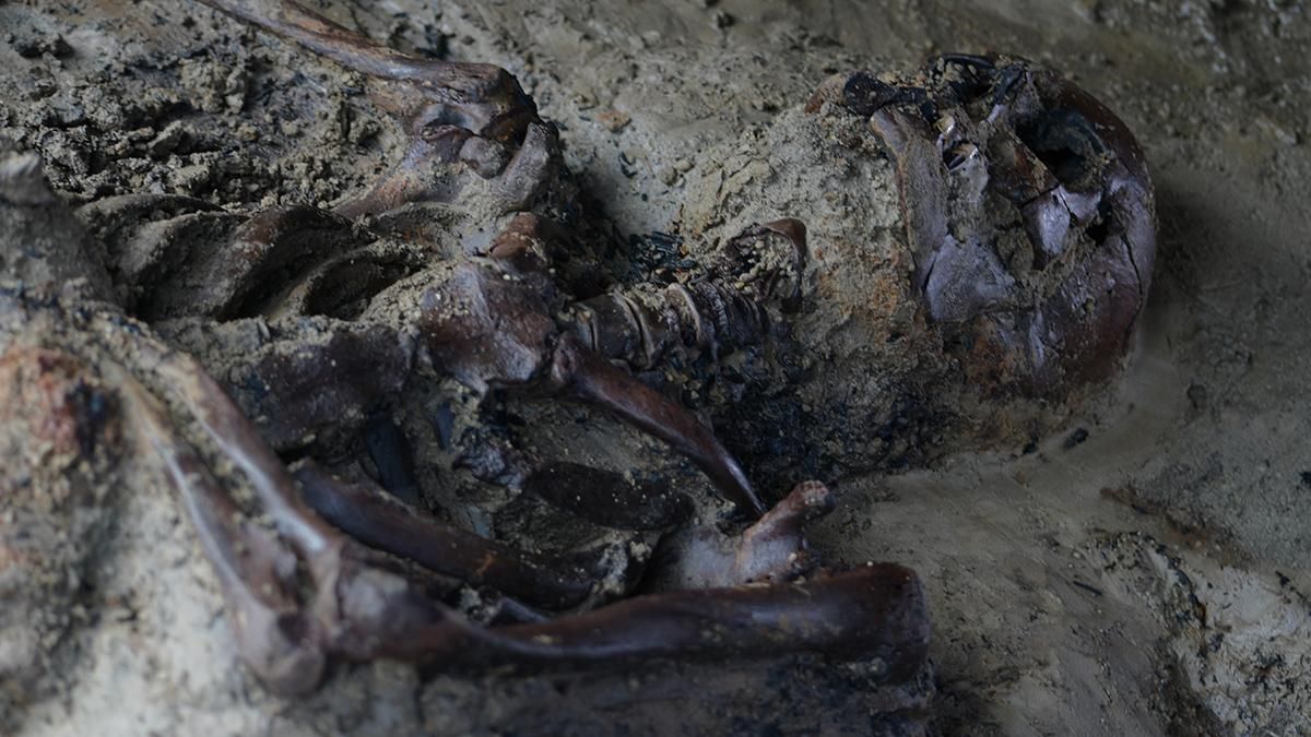 На пляжі в Італії виявили моторошний скелет: як він там опинився - Новини технологій - Техно