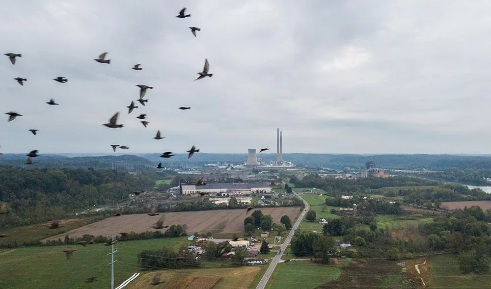 завод завод