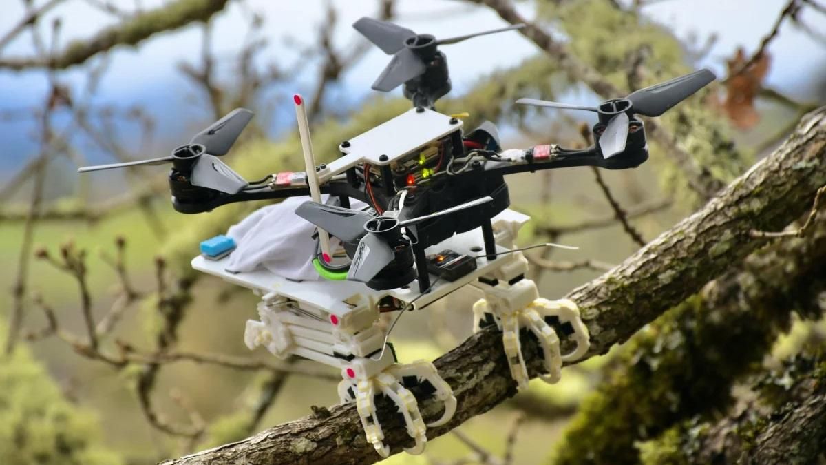 Ловить предмети на льоту: інженери показали незвичний дрон з пташиними лапками - Новини технологій - Техно
