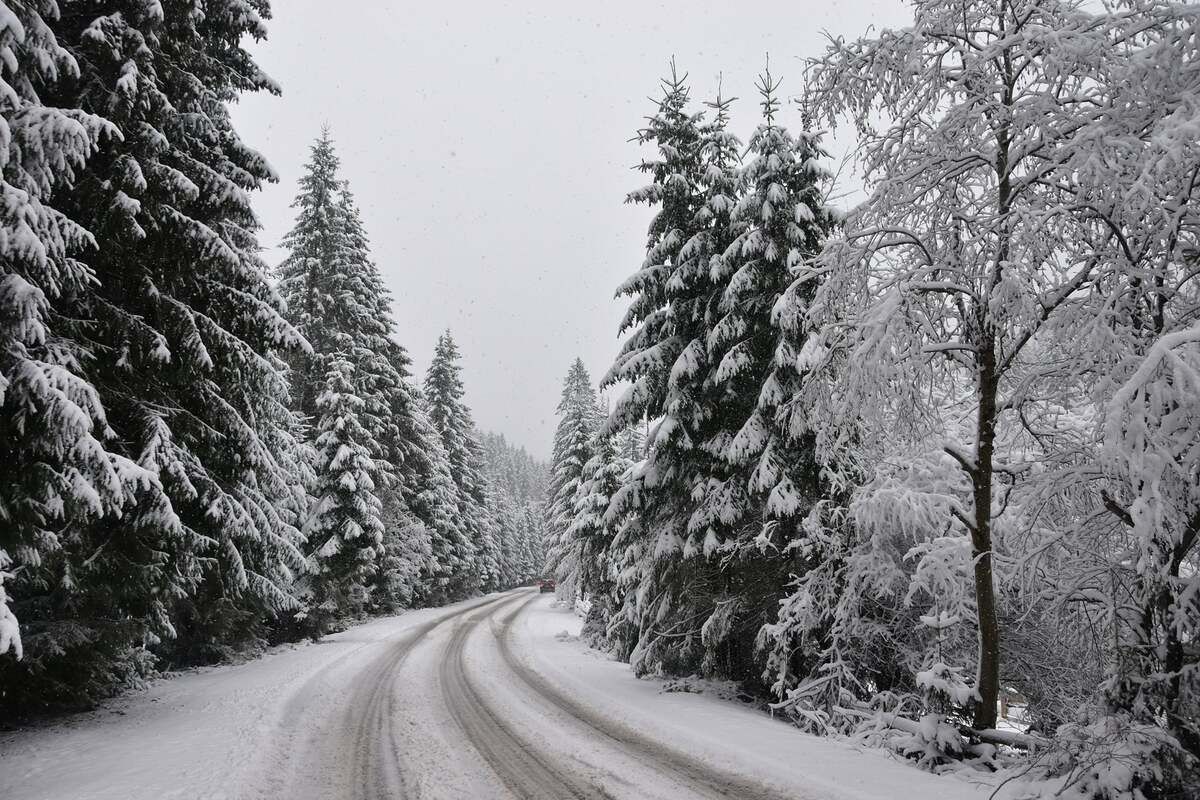 Казкова зима на Верховині: у мережі з'явилися пейзажні світлини