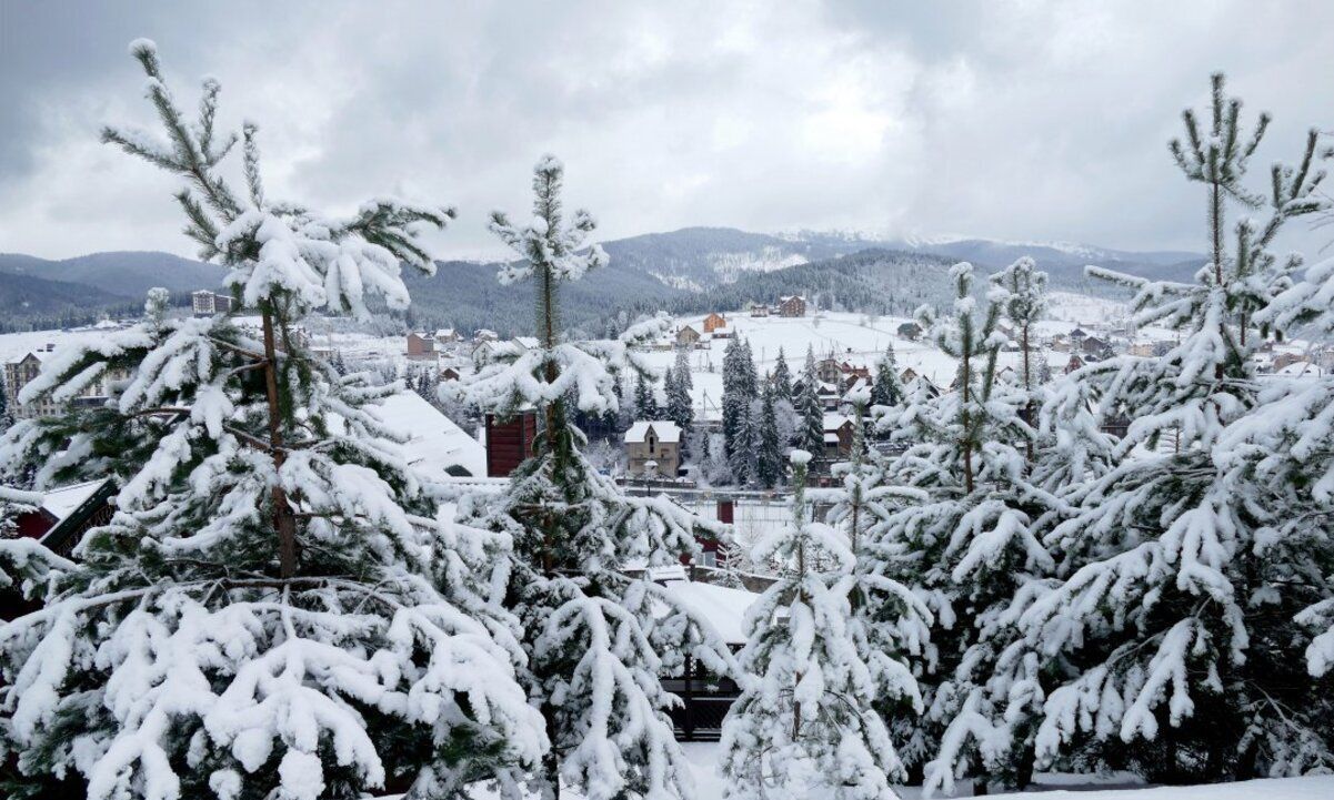 У Карпатах снігопад: рятувальники оголосили загрозу сходження лавин - 24 Канал У Карпатах снігопад: рятувальники оголосили загрозу сходження лавин - 24 Канал