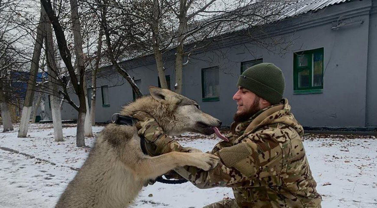 Кормим волков костями детей, – герой Коцюбайло о самом ярком российском фейке