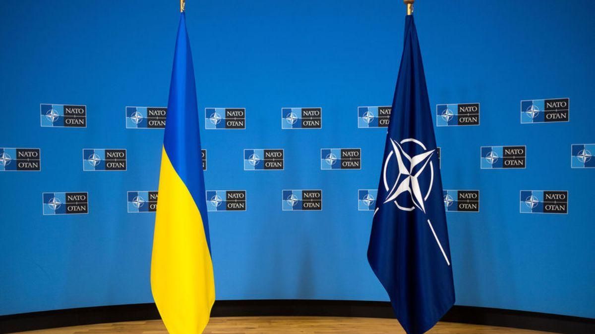 Понад 50% поляків підтримують надання НАТО військової допомоги Україні - Україна новини - 24 Канал