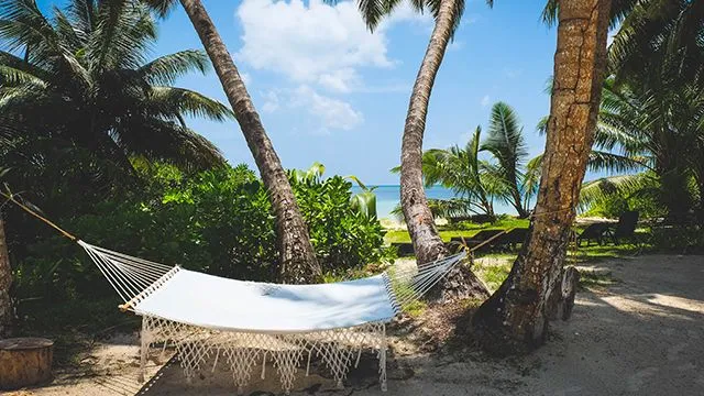 Сейшели – екзотичний райський острів Сейшели – екзотичний райський острів