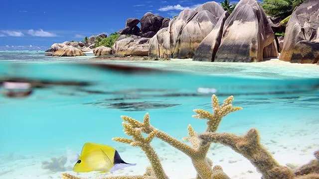 Сейшели – екзотичний райський острів