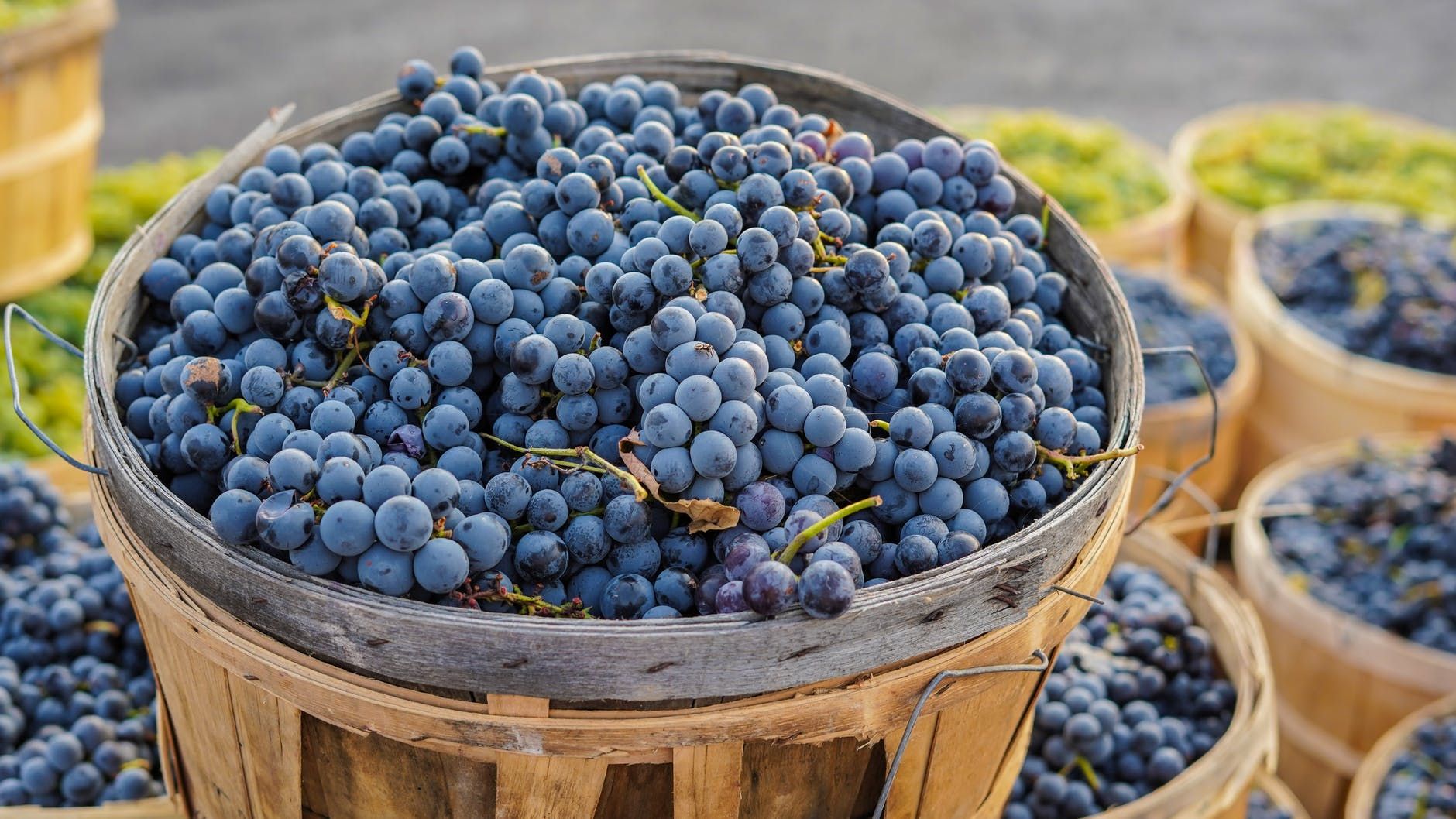 Символ течения жизни и пути на Земле: коньяк и вино вошли в список
главных богатств Грузии Символ течения жизни и пути на Земле: коньяк и вино вошли в список
главных богатств Грузии