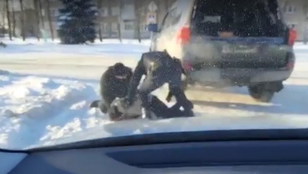 В России почти одновременно задержали двух разных подростков, планировавших теракты в школах В России почти одновременно задержали двух разных подростков, планировавших теракты в школах