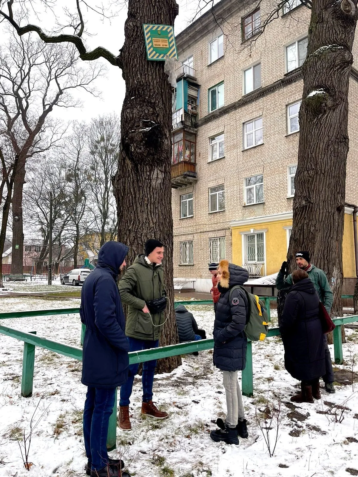 лікування вікових дубів у Києві