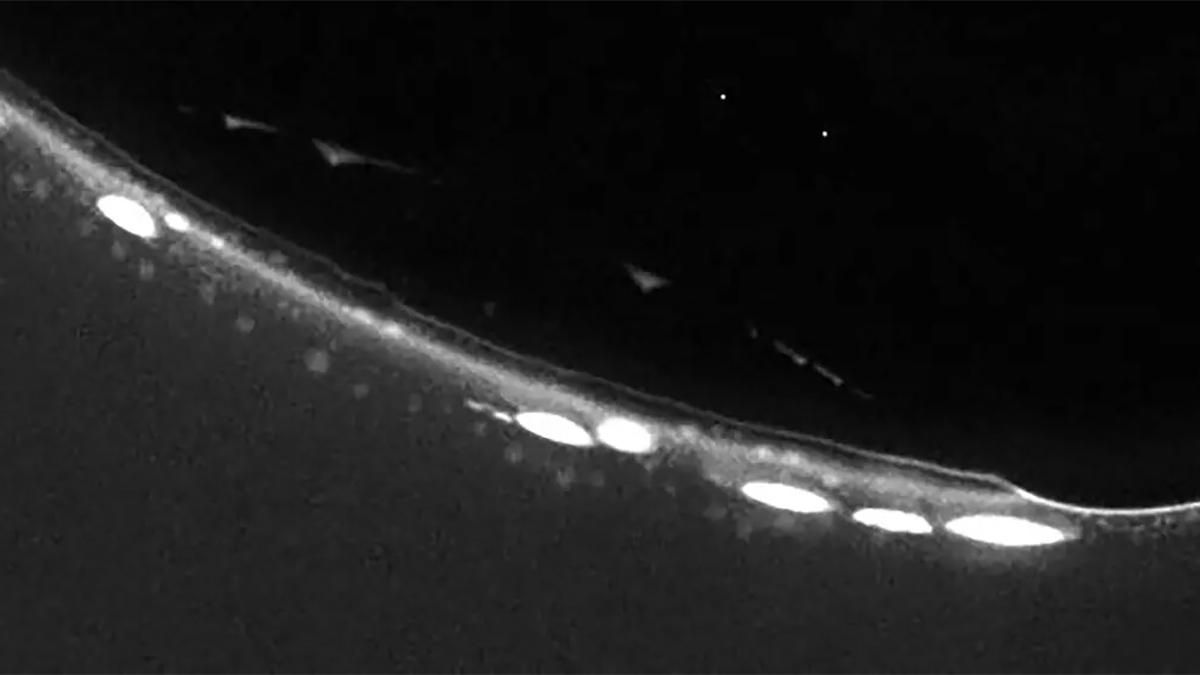 Где зародилась жизнь на Земле: новое исследование дает ответ на давний вопрос Где зародилась жизнь на Земле: новое исследование дает ответ на давний вопрос