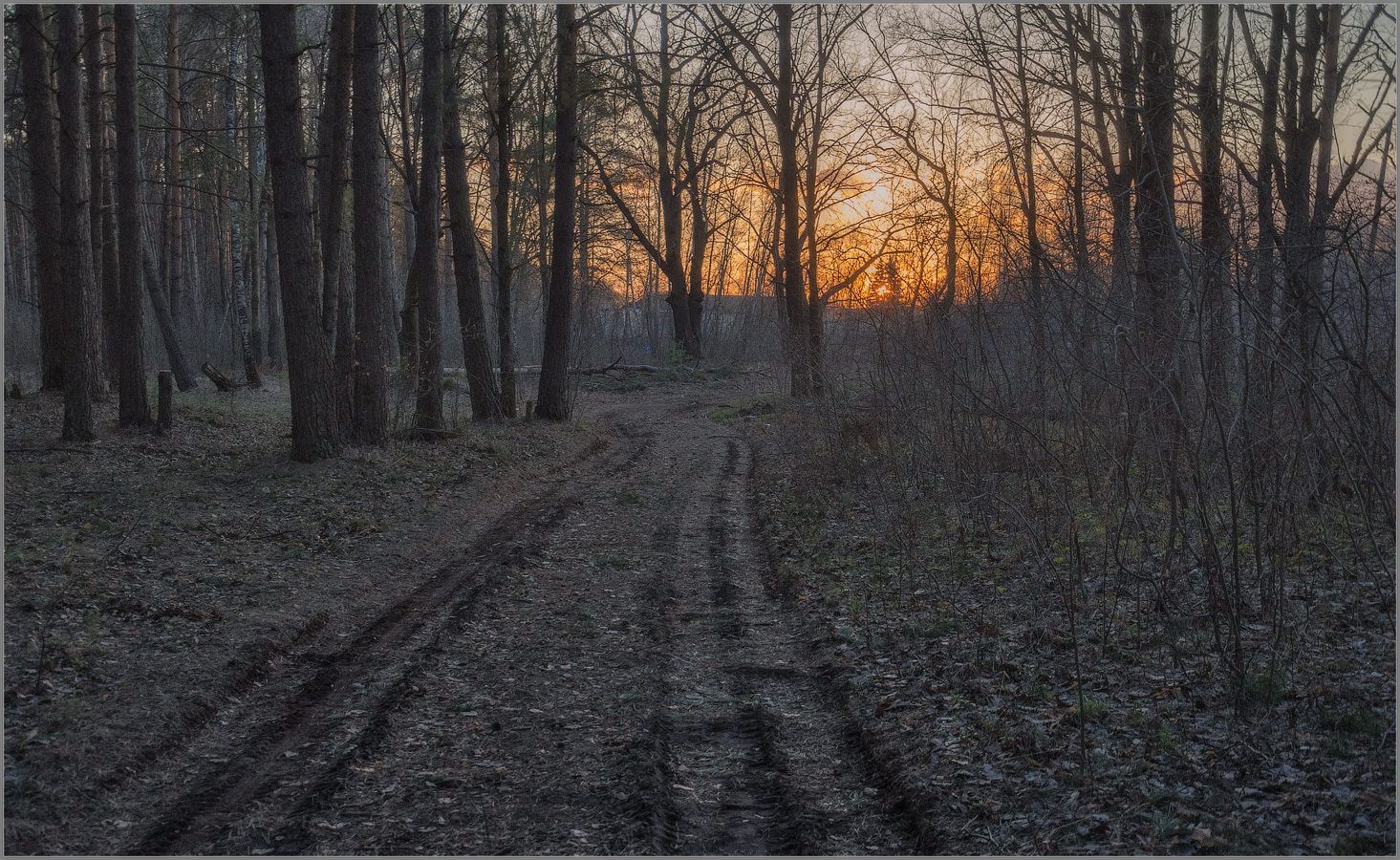 Отдыхал от цивилизации: на Волыни нашелся мужчина, который был в розыске Отдыхал от цивилизации: на Волыни нашелся мужчина, который был в розыске