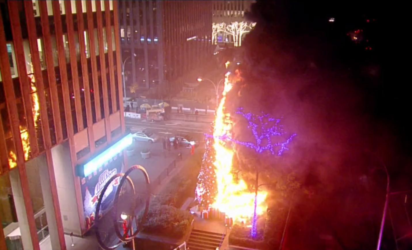 У Нью Йорку підпалили 15-метрову ялинку поблизу Fox News: моторошні кадри - 24 Канал