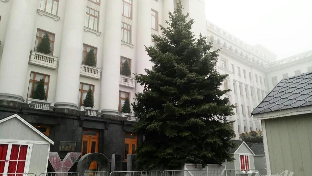 Возле Офиса Президента установили новогоднюю елку