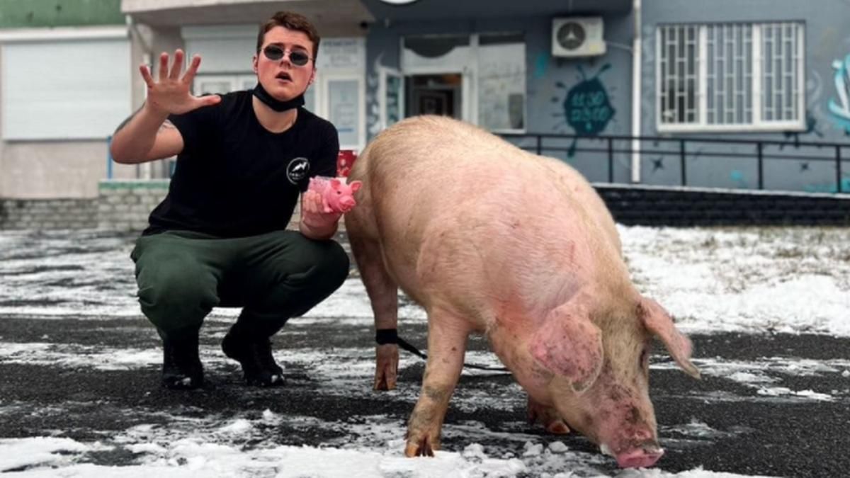 Свинью, которую привезли в киевский тату-салон, зарезали: владелец считает пиар удачным Свинью, которую привезли в киевский тату-салон, зарезали: владелец считает пиар удачным