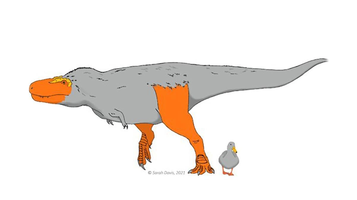 Морди та лапи динозаврів могли мати дуже яскраві кольори: дослідження - Новини технологій - Техно