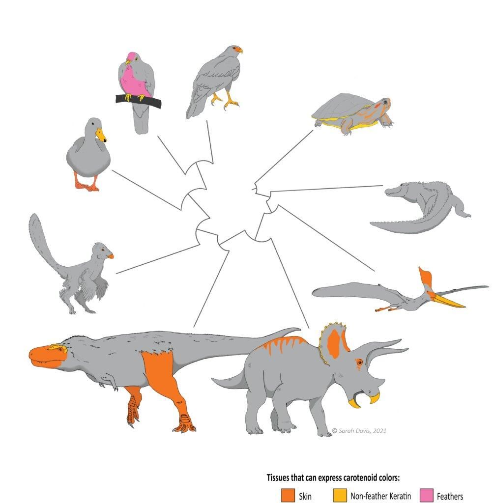 Харчування динозаврів: що їли ці гіганти до мільйонів років тому