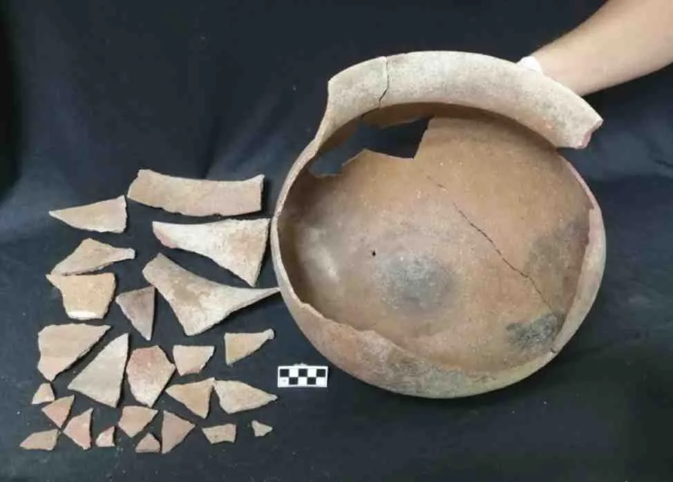 Роздроблений горщик Роздроблений горщик