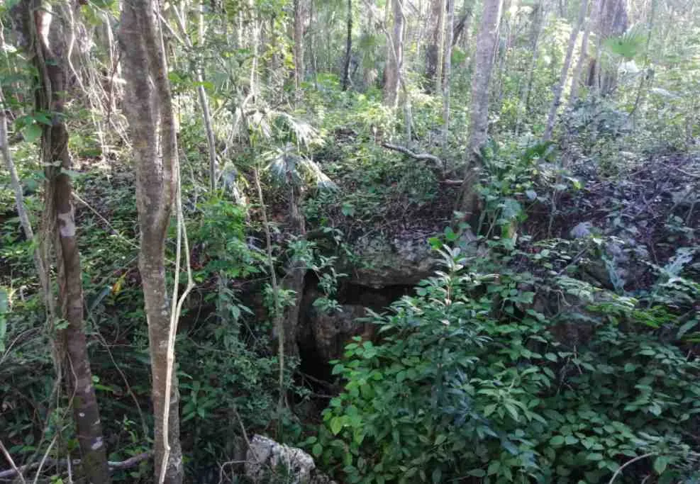 Вхід до печери Вхід до печери