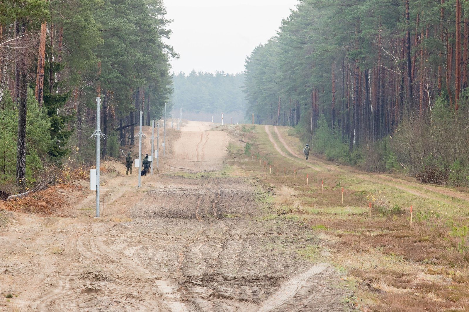 Міграційна криза в Білорусі: литовці повідомили про постріли, поляки – про травмованого солдата - новини Білорусь - 24 Канал