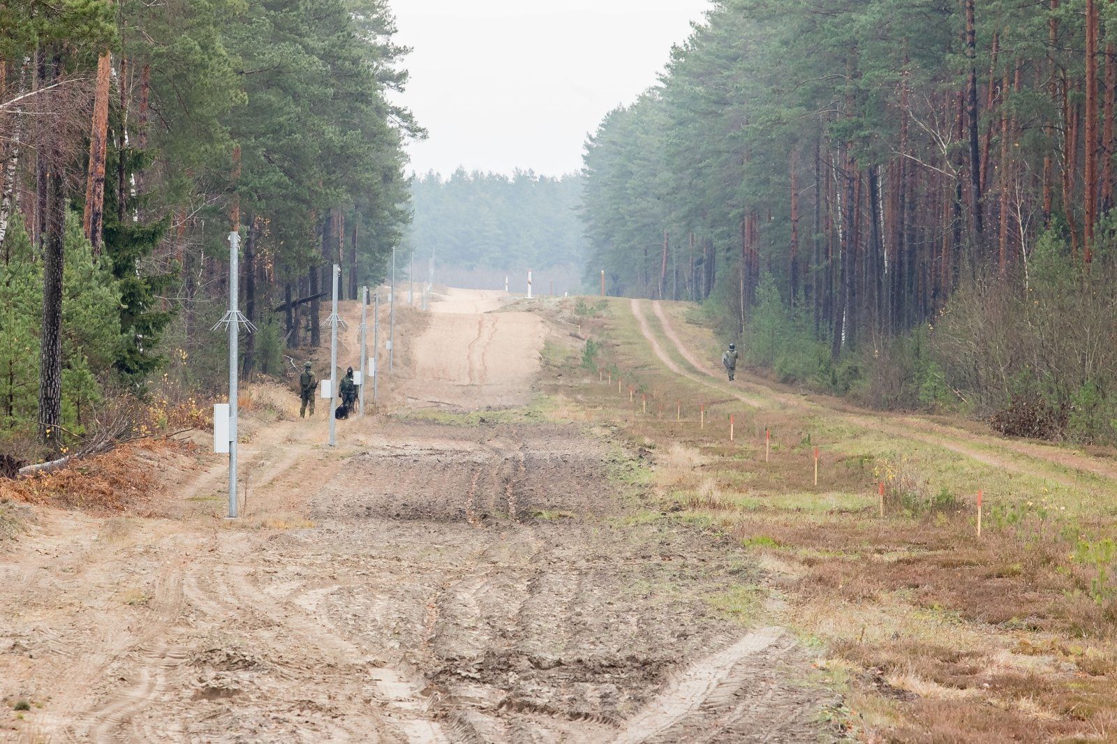 Миграционный кризис в Беларуси: литовцы сообщили о выстрелах, поляки – о травмированного солдата